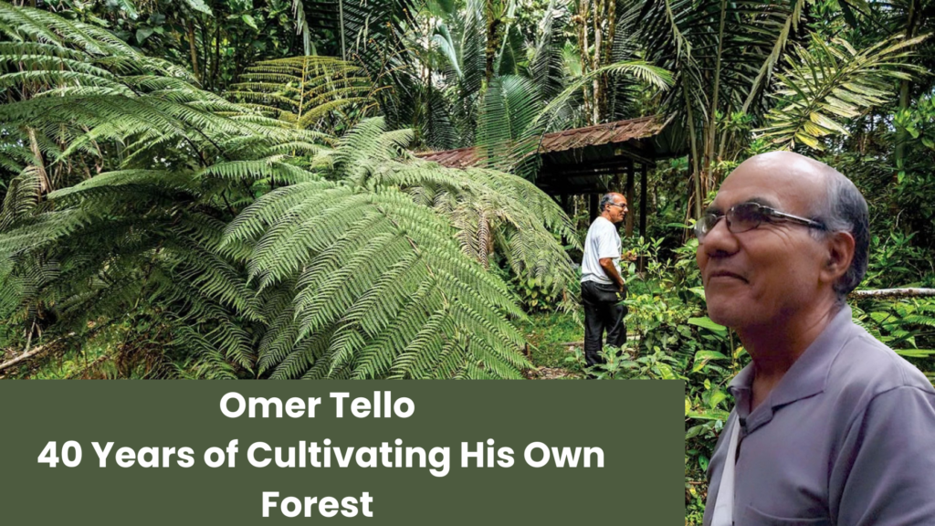 Omer Tello: 40 Years of Cultivating His Own Forest